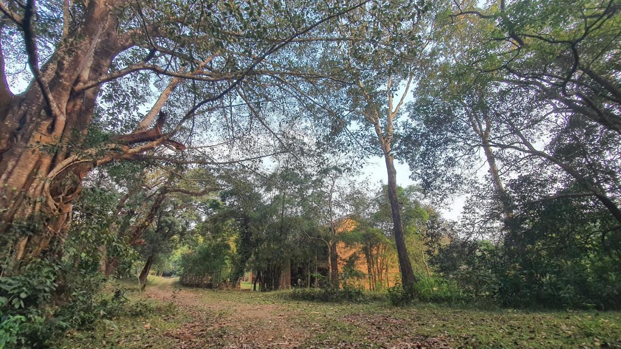 Klov Resort & Spa Wayanad Buitenkant foto